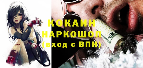 крисы Щигры