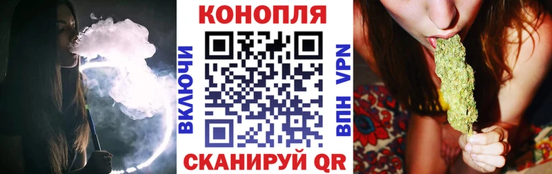 Бошки Шишки семена  блэк спрут вход  Покачи 